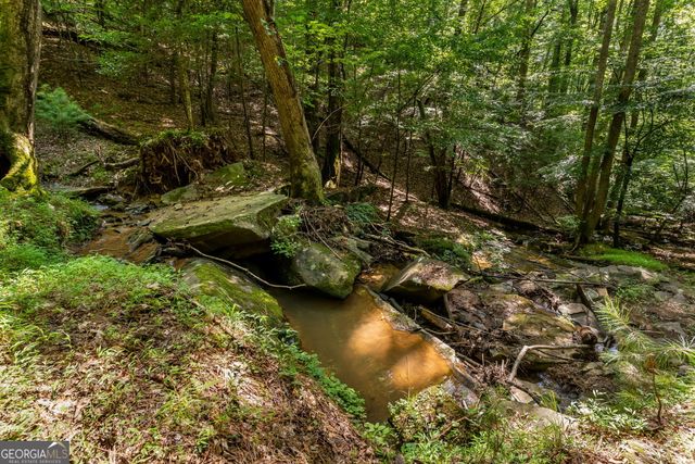 611 Monocle Drive 3086R, Ellijay, GA 30540