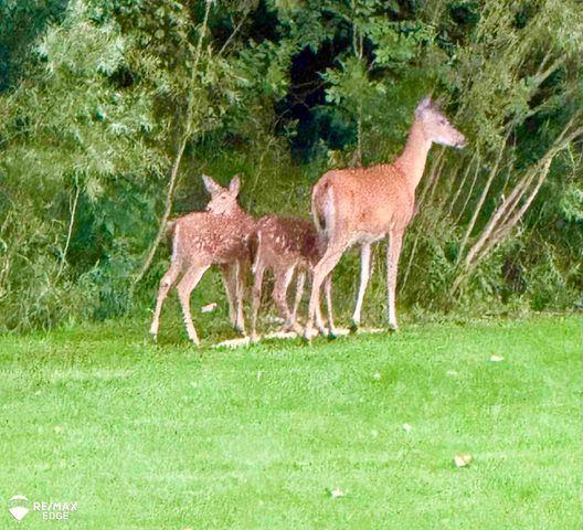 2192 Valley Vista Drive, Davison Twp, MI 48423