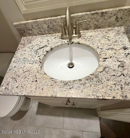 169 Falls Crossing, Madison, MS 39110