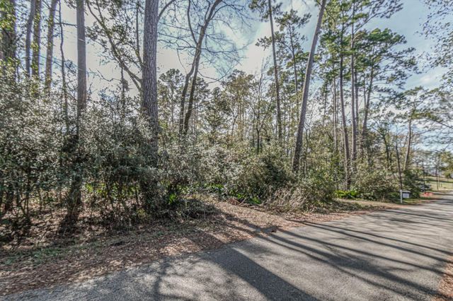 0 Elmore, Willis, TX 77318