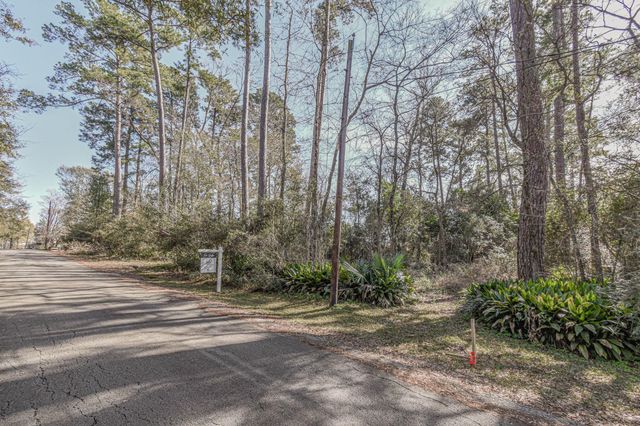 0 Elmore, Willis, TX 77318