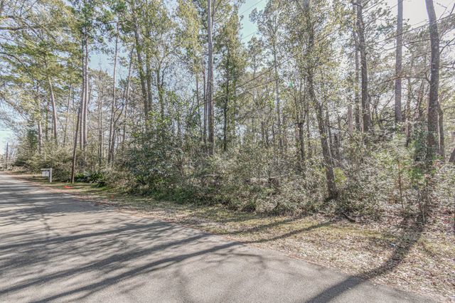 0 Elmore, Willis, TX 77318