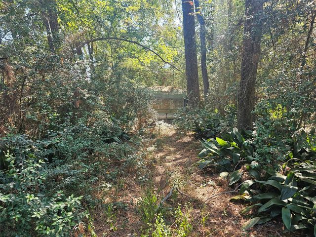 0 Elmore, Willis, TX 77318