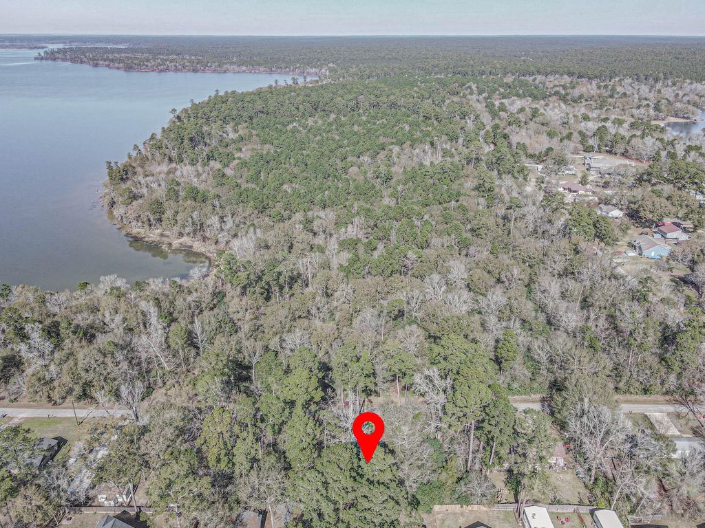 0 Elmore, Willis, TX 77318