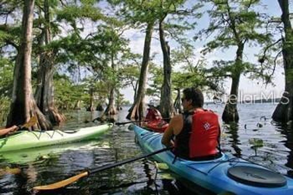 Image 11 of property listing at DAHLIA COURT, Eustis, FL 32736