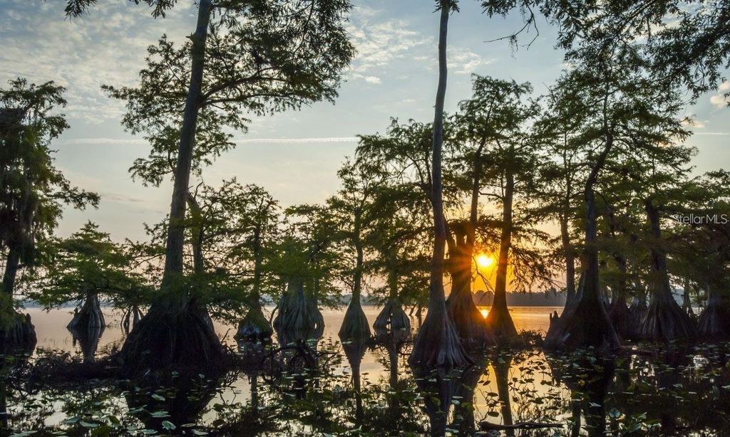 Image 13 of property listing at DAHLIA COURT, Eustis, FL 32736