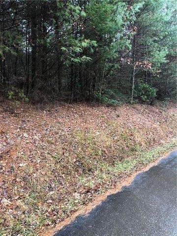 00 Flag Pole Circle, Ellijay, GA 30540