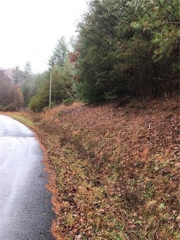 00 Flag Pole Circle, Ellijay, GA 30540