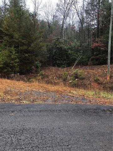 00 Flag Pole Circle, Ellijay, GA 30540