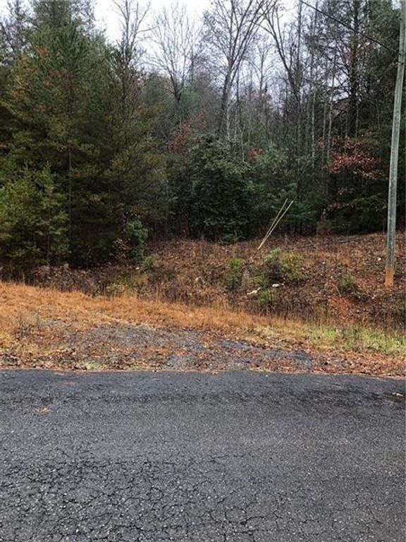00 Flag Pole Circle, Ellijay, GA 30540