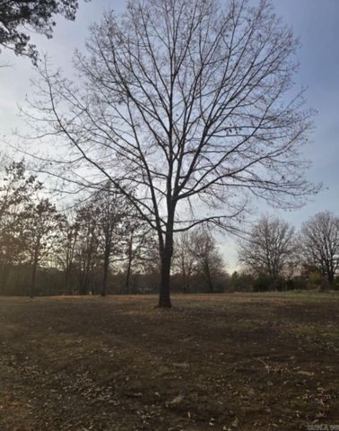 11404 Lucian Wood Road, Cedarville, AR 72932