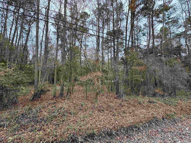 Lot 5 New Rd., Conway, SC 29527