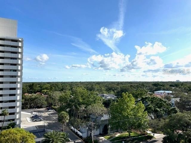 4015 BAYSHORE BOULEVARD 8D, Tampa, FL 33611