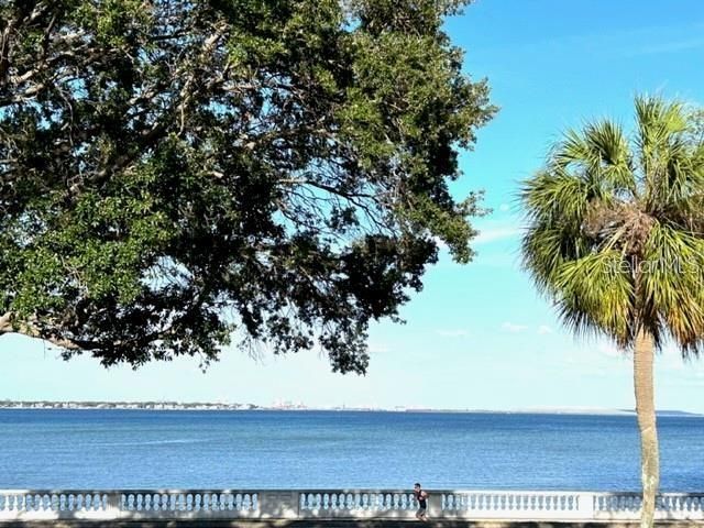 4015 BAYSHORE BOULEVARD 8D, Tampa, FL 33611