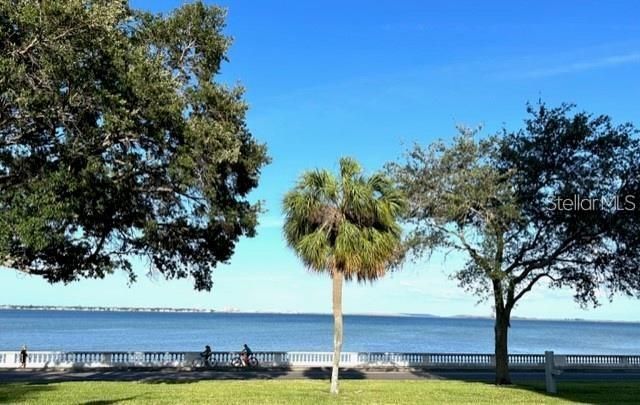 4015 BAYSHORE BOULEVARD 8D, Tampa, FL 33611