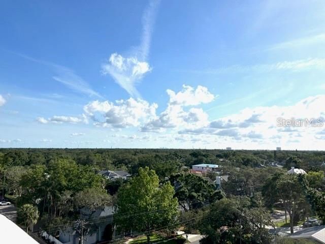 4015 BAYSHORE BOULEVARD 8D, Tampa, FL 33611