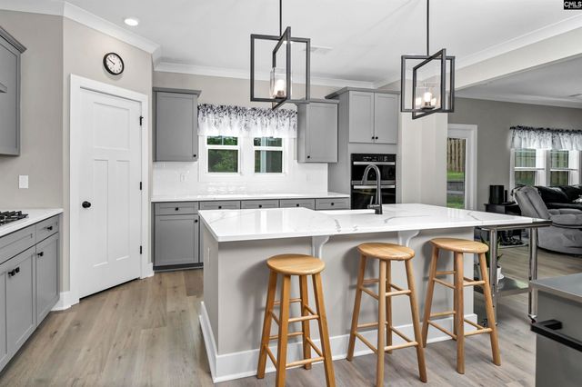 191 Collins Cove Drive, Chapin, SC 29036