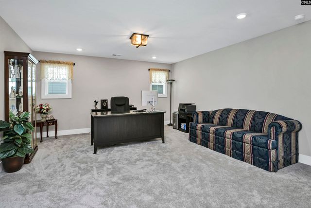 191 Collins Cove Drive, Chapin, SC 29036