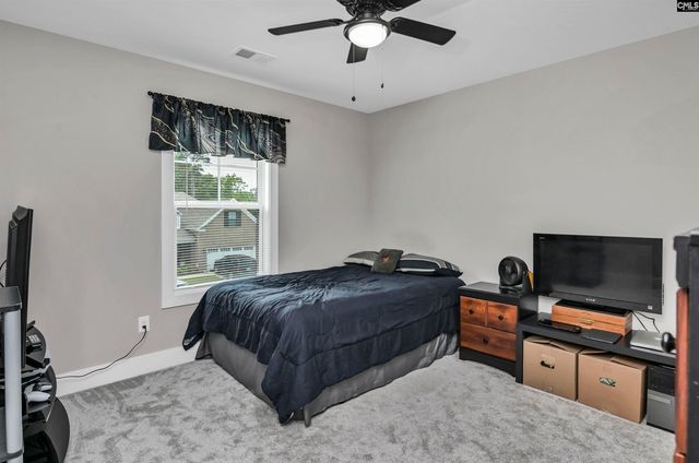 191 Collins Cove Drive, Chapin, SC 29036