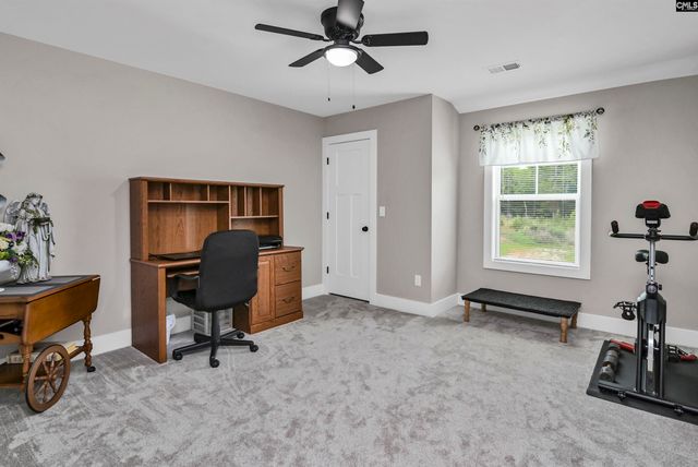 191 Collins Cove Drive, Chapin, SC 29036