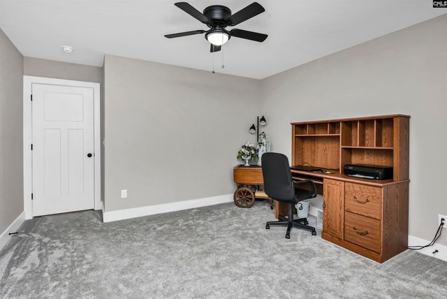 191 Collins Cove Drive, Chapin, SC 29036