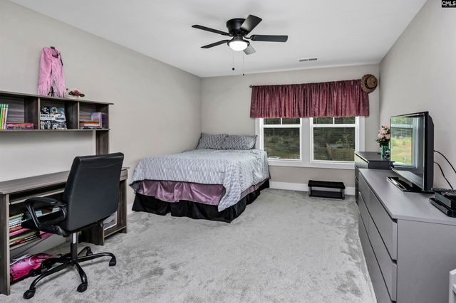 191 Collins Cove Drive, Chapin, SC 29036