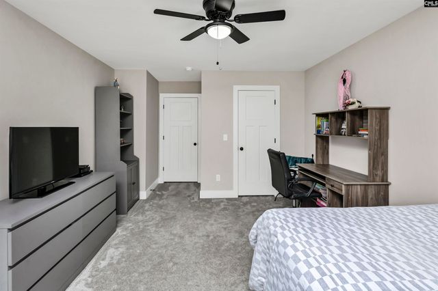 191 Collins Cove Drive, Chapin, SC 29036