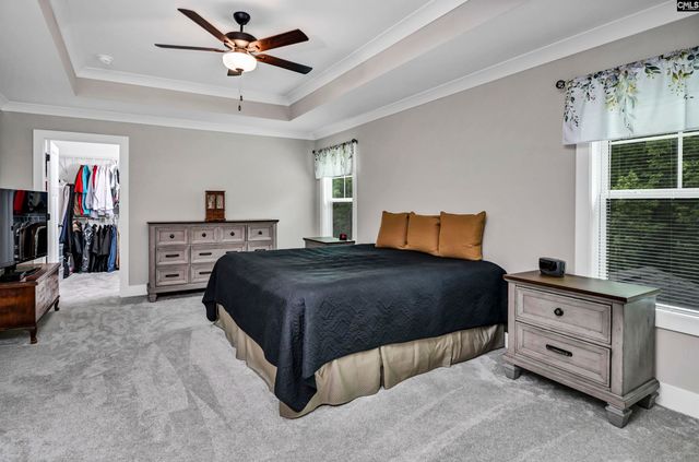 191 Collins Cove Drive, Chapin, SC 29036