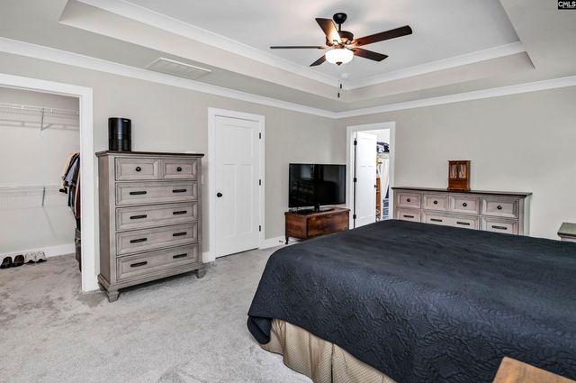 191 Collins Cove Drive, Chapin, SC 29036