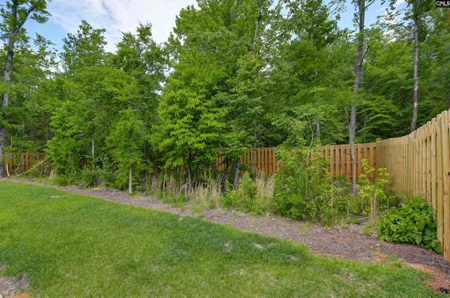 191 Collins Cove Drive, Chapin, SC 29036