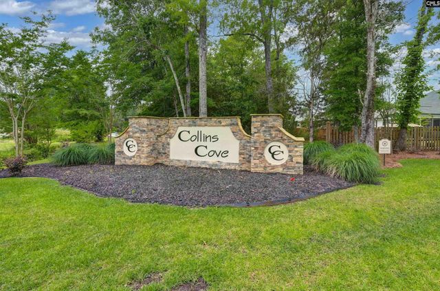 191 Collins Cove Drive, Chapin, SC 29036