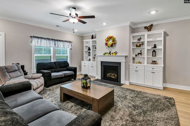 191 Collins Cove Drive, Chapin, SC 29036