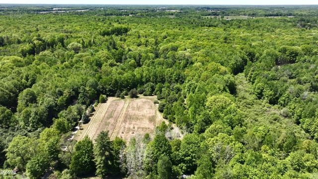 4299 Rabidue Road, Clyde, MI 48049