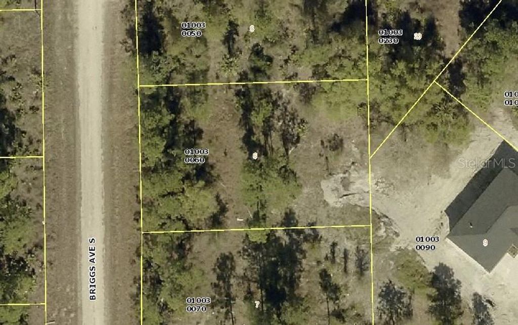 315 BRIGGS AVENUE S, Lehigh Acres, FL 33974
