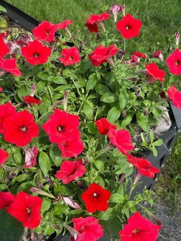 9447 Pilgrim Lane N, Maple Grove, MN 55369