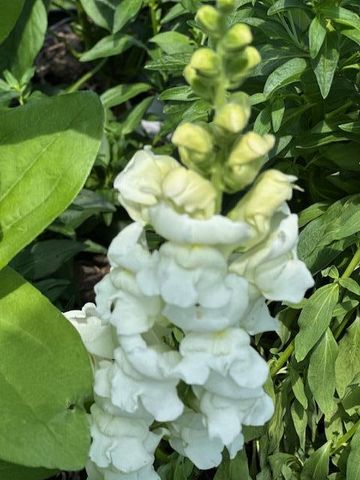 9447 Pilgrim Lane N, Maple Grove, MN 55369