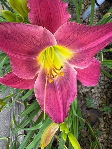 9447 Pilgrim Lane N, Maple Grove, MN 55369