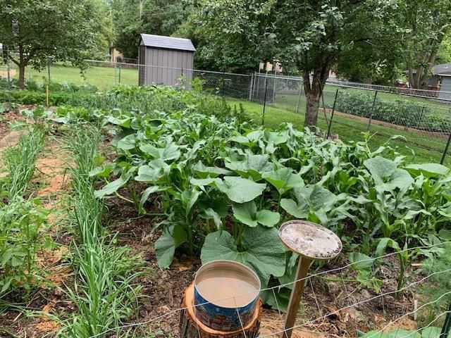 9447 Pilgrim Lane N, Maple Grove, MN 55369