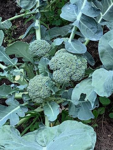 9447 Pilgrim Lane N, Maple Grove, MN 55369