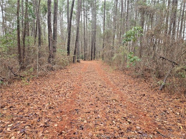 488 Green Street, Parkton, NC 28371