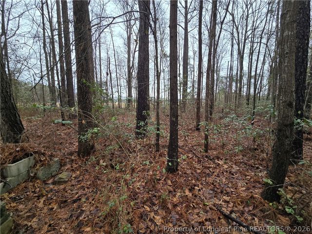 488 Green Street, Parkton, NC 28371