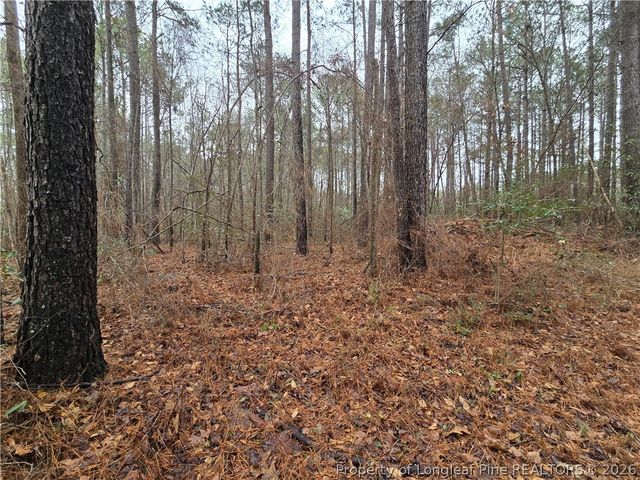 488 Green Street, Parkton, NC 28371