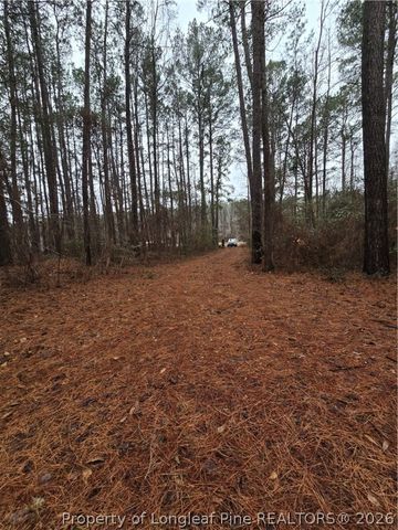 488 Green Street, Parkton, NC 28371