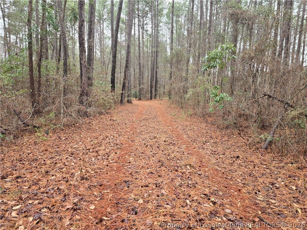 488 Green Street, Parkton, NC 28371 — photo 2