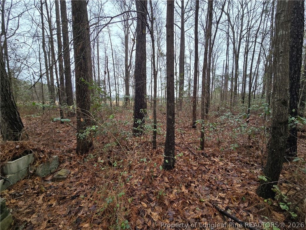 488 Green Street, Parkton, NC 28371 — photo 7