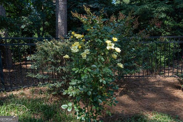 1071 Meriweather Drive, Watkinsville, GA 30677