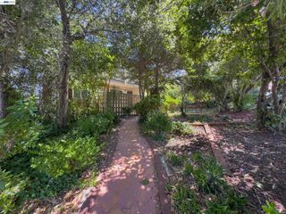 205 Muir Rd, Martinez, CA 94553