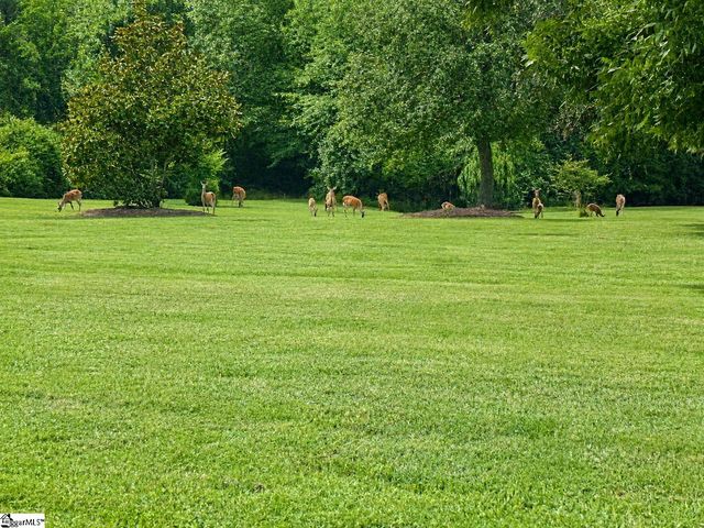 252 Ridge Way, Simpsonville, SC 29680