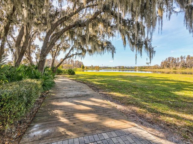 3437 BARBOUR TRAIL, Odessa, FL 33556