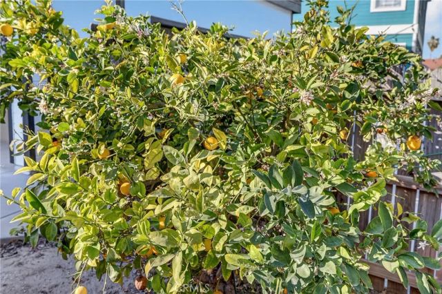 25544 Portola Loop, Loma Linda, CA 92354